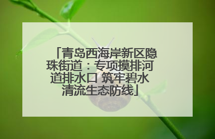 青岛西海岸新区隐珠街道：专项摸排河道排水口 筑牢碧水清流生态防线