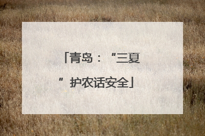 青岛：“三夏”护农话安全