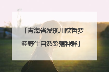 青海省发现川陕哲罗鲑野生自然繁殖种群