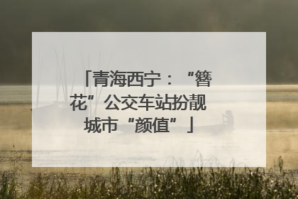 青海西宁：“簪花”公交车站扮靓城市“颜值”