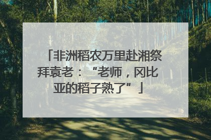 非洲稻农万里赴湘祭拜袁老：“老师，冈比亚的稻子熟了”