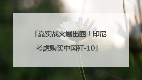 靠实战火爆出圈！印尼考虑购买中国歼-10