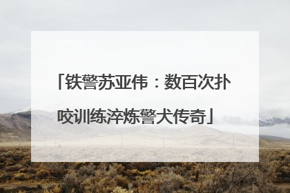 铁警苏亚伟：数百次扑咬训练淬炼警犬传奇