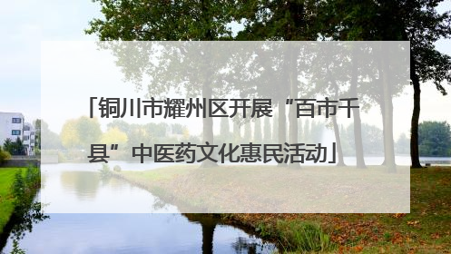 铜川市耀州区开展“百市千县”中医药文化惠民活动