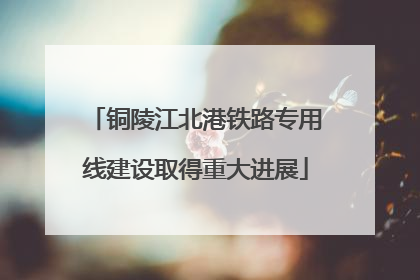 铜陵江北港铁路专用线建设取得重大进展