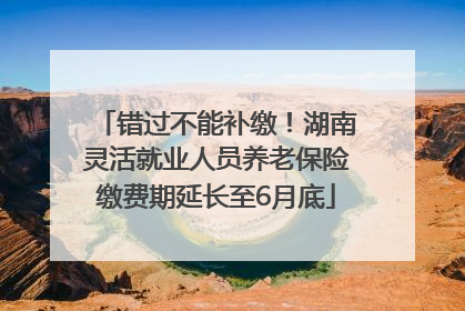 错过不能补缴！湖南灵活就业人员养老保险缴费期延长至6月底