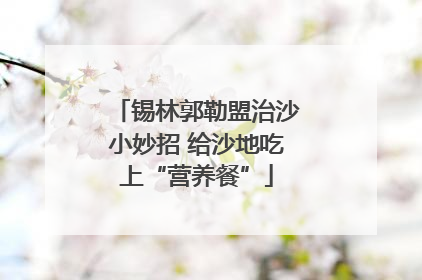 锡林郭勒盟治沙小妙招 给沙地吃上“营养餐”