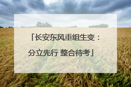 长安东风重组生变：分立先行 整合待考