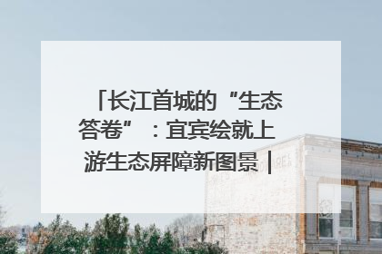 长江首城的“生态答卷”：宜宾绘就上游生态屏障新图景｜中华环保世纪行