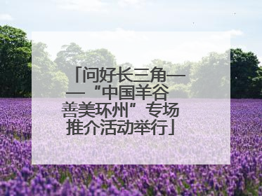 问好长三角——“中国羊谷 善美环州”专场推介活动举行