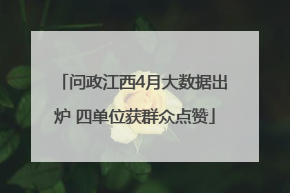 问政江西4月大数据出炉 四单位获群众点赞