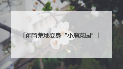 闲置荒地变身“小鹿菜园”