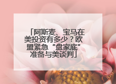 阿斯麦、宝马在美投资有多少？欧盟紧急“盘家底”准备与美谈判