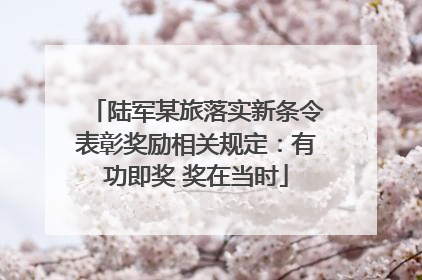 陆军某旅落实新条令表彰奖励相关规定：有功即奖 奖在当时