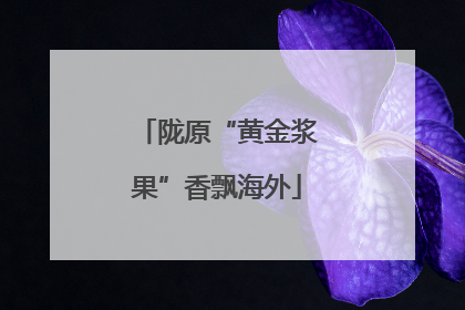 陇原“黄金浆果”香飘海外