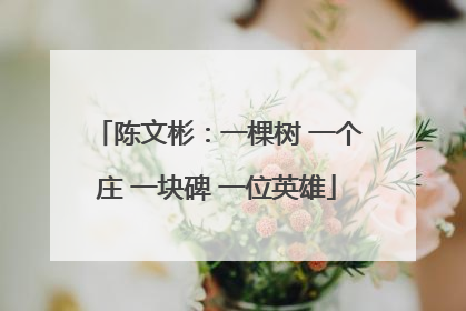 陈文彬：一棵树 一个庄 一块碑 一位英雄