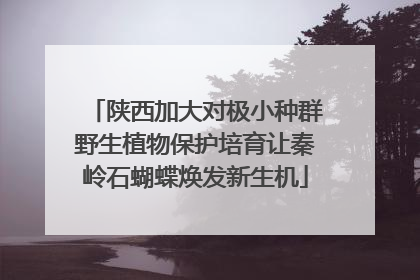 陕西加大对极小种群野生植物保护培育让秦岭石蝴蝶焕发新生机