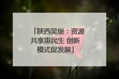 陕西吴堡：资源共享惠民生 创新模式促发展