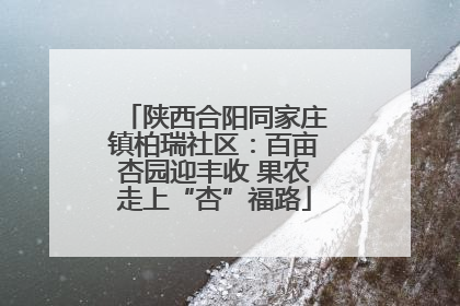 陕西合阳同家庄镇柏瑞社区：百亩杏园迎丰收 果农走上“杏”福路