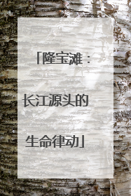 隆宝滩：长江源头的生命律动