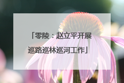 零陵：赵立平开展巡路巡林巡河工作