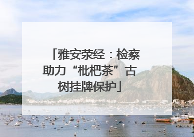 雅安荥经：检察助力“枇杷茶”古树挂牌保护