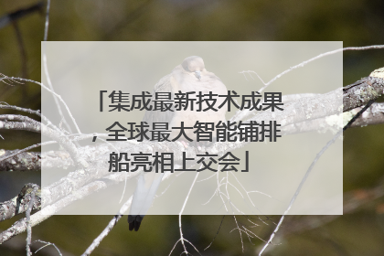 集成最新技术成果，全球最大智能铺排船亮相上交会