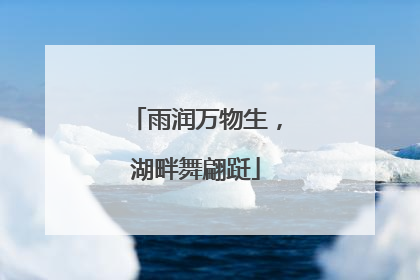 雨润万物生，湖畔舞翩跹
