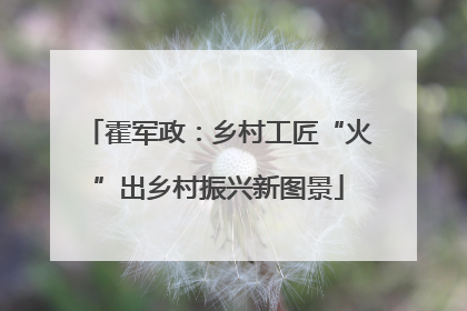 霍军政：乡村工匠“火”出乡村振兴新图景