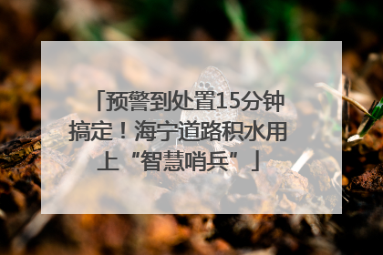 预警到处置15分钟搞定！海宁道路积水用上“智慧哨兵”