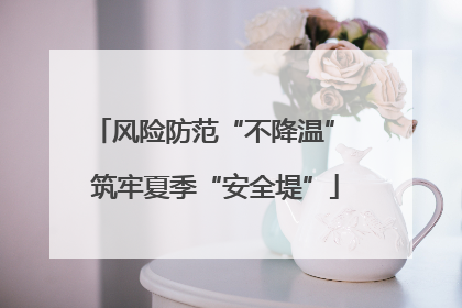风险防范“不降温” 筑牢夏季“安全堤”