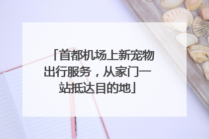 首都机场上新宠物出行服务，从家门一站抵达目的地