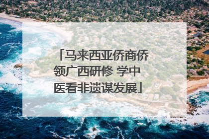 马来西亚侨商侨领广西研修 学中医看非遗谋发展