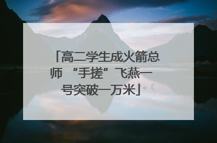 高二学生成火箭总师 “手搓”飞燕一号突破一万米