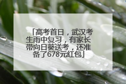 高考首日，武汉考生雨中复习，有家长带向日葵送考，还准备了678元红包
