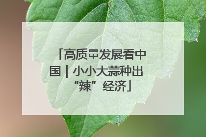 高质量发展看中国｜小小大蒜种出“辣”经济