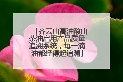 齐云山高油酸山茶油启用产品质量追溯系统，每一滴油都经得起追溯