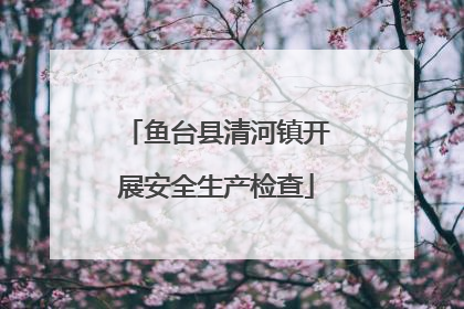 鱼台县清河镇开展安全生产检查