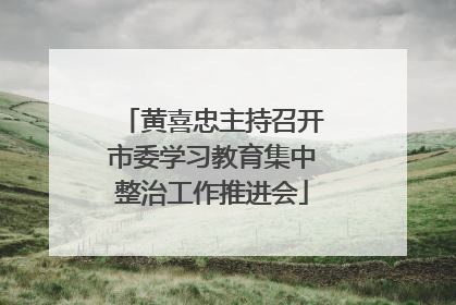 黄喜忠主持召开市委学习教育集中整治工作推进会