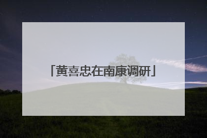 黄喜忠在南康调研