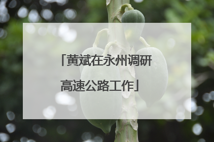 黄斌在永州调研高速公路工作