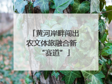 黄河岸畔闯出农文体旅融合新“赛道”