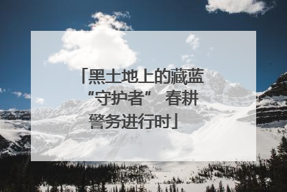 黑土地上的藏蓝“守护者” 春耕警务进行时