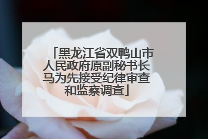 黑龙江省双鸭山市人民政府原副秘书长马为先接受纪律审查和监察调查