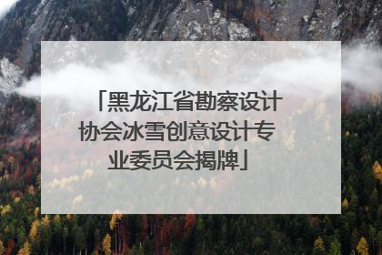 黑龙江省勘察设计协会冰雪创意设计专业委员会揭牌
