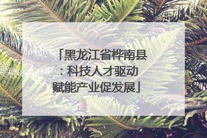 黑龙江省桦南县：科技人才驱动 赋能产业促发展