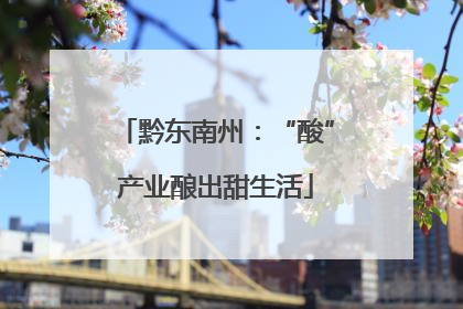 黔东南州：“酸”产业酿出甜生活