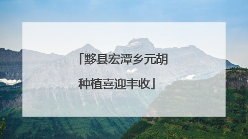 黟县宏潭乡元胡种植喜迎丰收