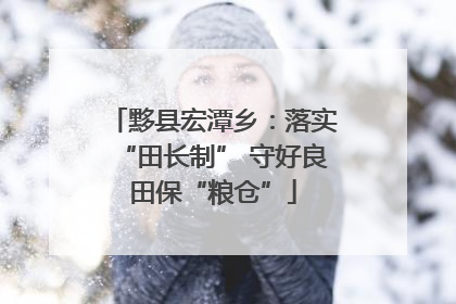 黟县宏潭乡：落实“田长制” 守好良田保“粮仓”