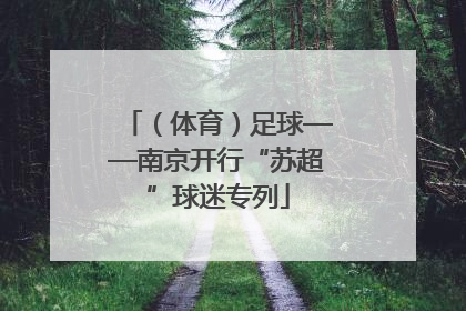 （体育）足球——南京开行“苏超”球迷专列